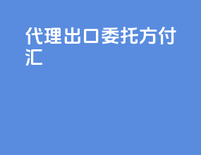代理出口委托方付汇