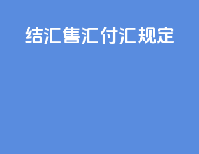 结汇售汇付汇规定