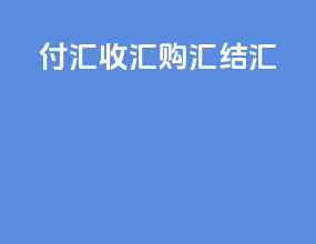 付汇收汇购汇结汇