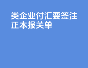 B类企业付汇要签注正本报关单