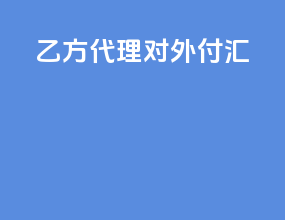 乙方代理对外付汇
