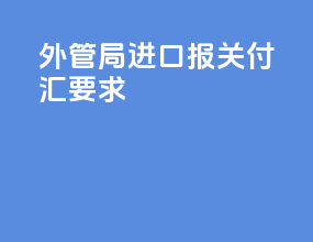 外管局进口报关付汇要求