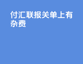 付汇联报关单上有杂费
