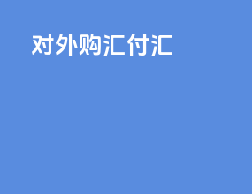 对外购汇付汇