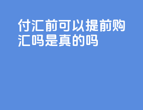 付汇前可以提前购汇吗是真的吗