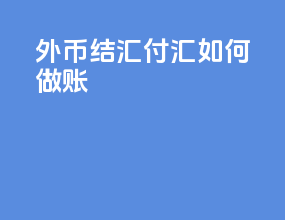外币结汇付汇如何做账