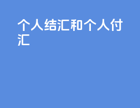 个人结汇和个人付汇