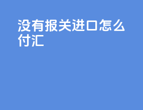 没有报关进口怎么付汇