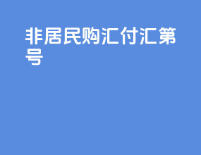 非居民购汇付汇 第3号