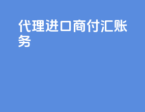 代理进口商付汇账务