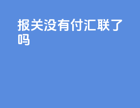 报关没有付汇联了吗