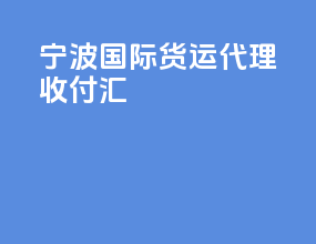 宁波国际货运代理收付汇