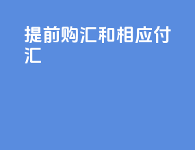 提前购汇和相应付汇