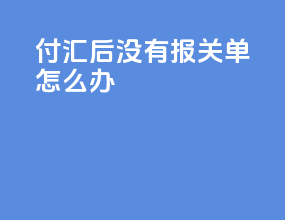 付汇后没有报关单怎么办