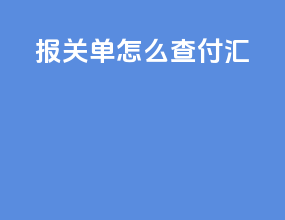 报关单怎么查 付汇