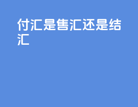 付汇是售汇还是结汇