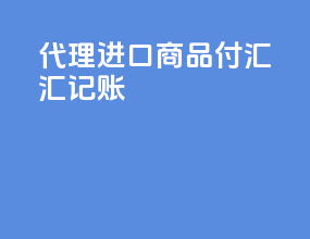 代理进口商品付汇汇记账