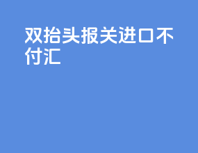 双抬头报关进口不付汇