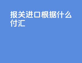 报关进口根据什么付汇