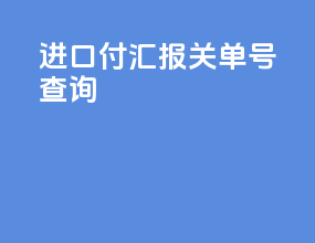 进口付汇报关单号查询