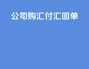 公司购汇付汇回单