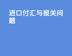进口付汇与报关问题