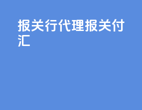 报关行代理报关 付汇