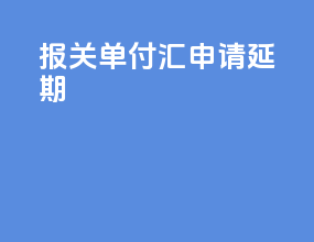 报关单付汇申请延期