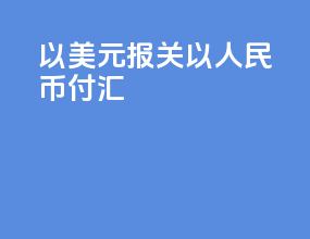 以美元报关以人民币付汇