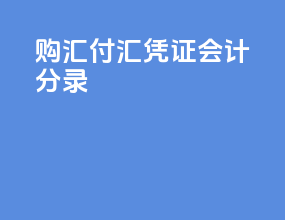 购汇付汇凭证会计分录