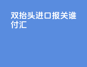 双抬头进口报关谁付汇