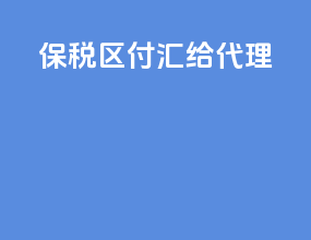 保税区付汇给代理