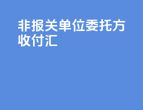 非报关单位委托方收付汇