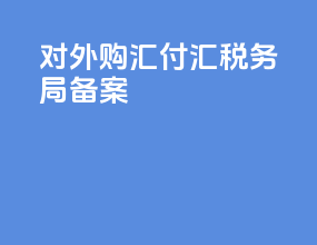 对外购汇付汇税务局备案
