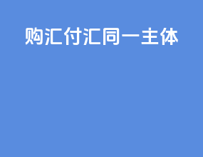 购汇付汇同一主体
