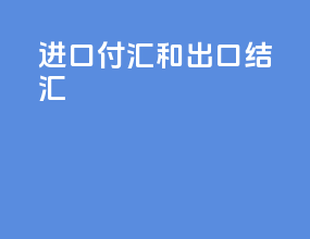 进口付汇和出口结汇