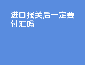 进口报关后一定要付汇吗