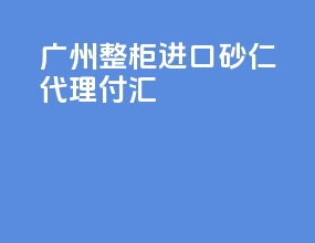 广州整柜进口砂仁代理付汇