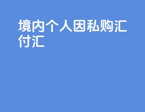 境内个人因私购汇付汇