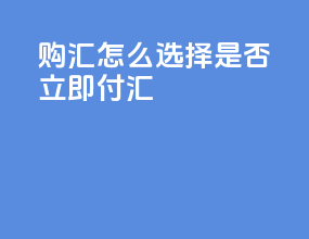 购汇怎么选择是否立即付汇