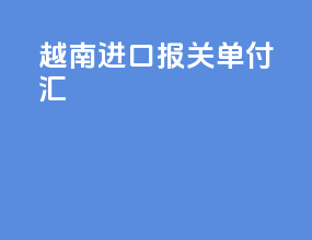 越南进口报关单付汇