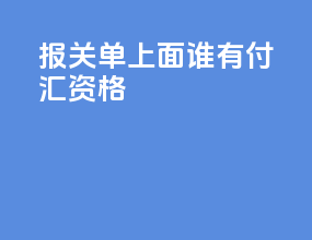 报关单上面谁有付汇资格