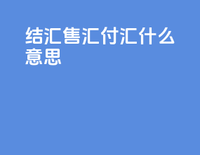结汇售汇付汇什么意思