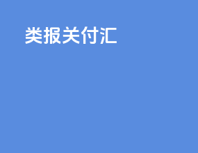 c类报关付汇
