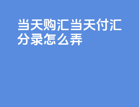 当天购汇当天付汇分录怎么弄
