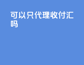 可以只代理收付汇吗