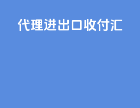 代理进出口收付汇