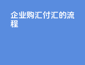企业购汇付汇的流程