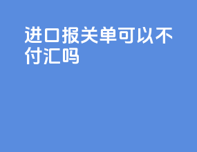 进口报关单可以不付汇吗