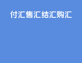 付汇 售汇 结汇 购汇